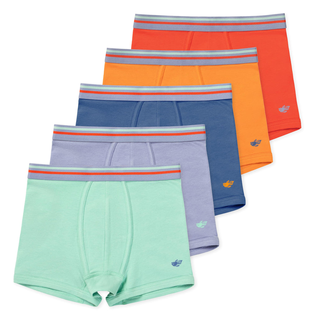 Lucky & Me | Jameson Performance Boy Boxer Briefs | Ultra Soft Cotton | 5 Pack (Voyager 5 Pack, Toddler 4/5)