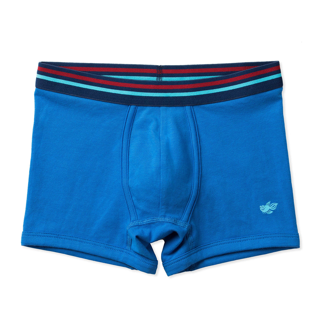 Lucky & Me | Jameson Performance Boy Boxer Briefs | Ultra Soft Cotton | 5 Pack (Voyager 5 Pack, Toddler 4/5)